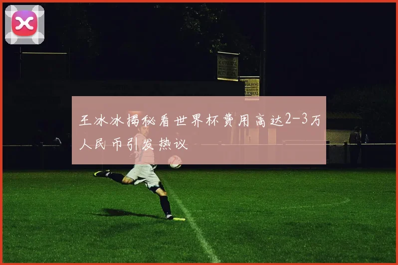 王冰冰揭秘看世界杯费用高达2-3万人民币引发热议