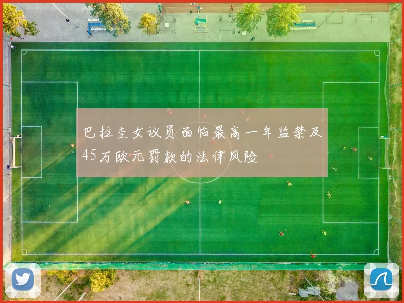 巴拉圭女议员面临最高一年监禁及45万欧元罚款的法律风险